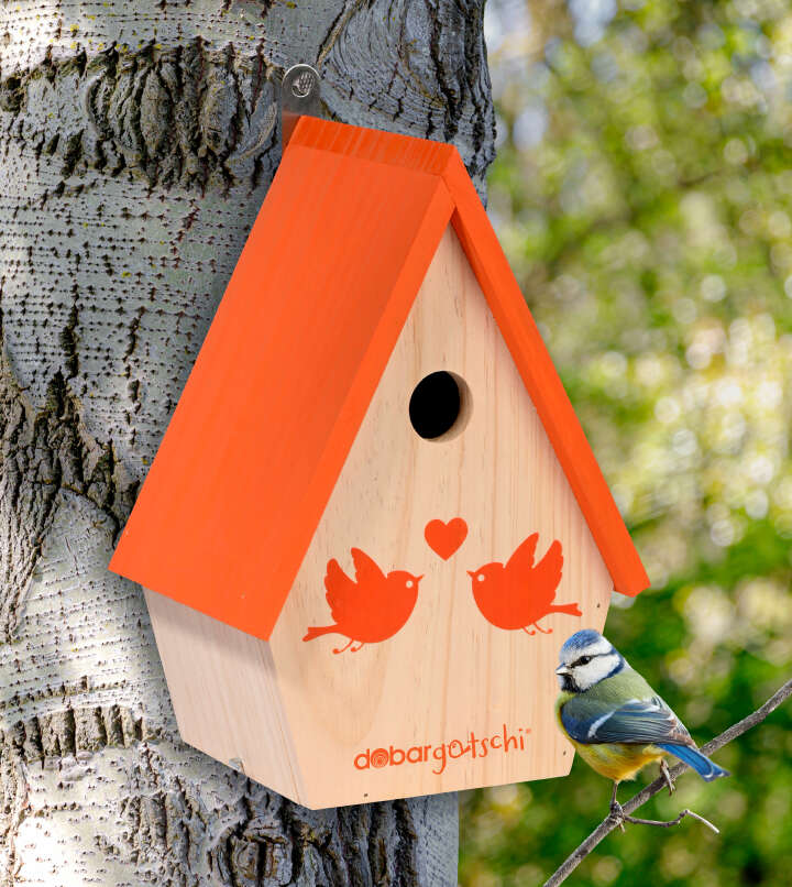 dobar Nistkasten dobargotschi